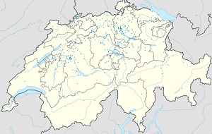 Karte von Schweiz mit Markierungen für die einzelnen Unterstützenden