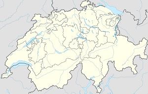 Karte von Buchs mit Markierungen für die einzelnen Unterstützenden