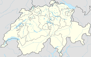 Kort over Schweiz med tags til hver supporter 