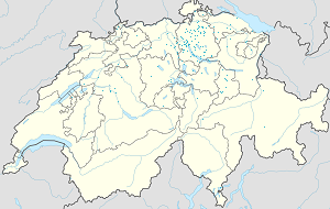 Karte von Schweiz mit Markierungen für die einzelnen Unterstützenden