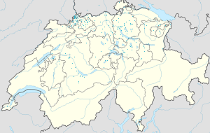 Karte von Schweiz mit Markierungen für die einzelnen Unterstützenden