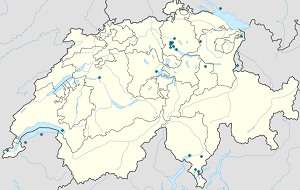Map of Lugano with markings for the individual supporters