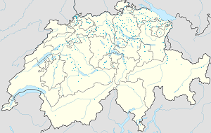 Karte von Schweiz mit Markierungen für die einzelnen Unterstützenden