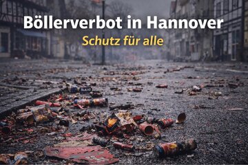 Obraz petycji Böllerverbot in Hannover- für ein sicheres Silvester ohne Angst und Gewalt