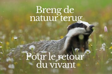 Image de la pétition Breng de natuur terug: verzeker onze toekomst met een ambitieus Natuurherstelplan