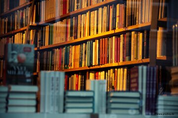 Image de la pétition Buchhandlungspreis 2025 - Unterstützung für ausgeschlossenen Buchhandlungen