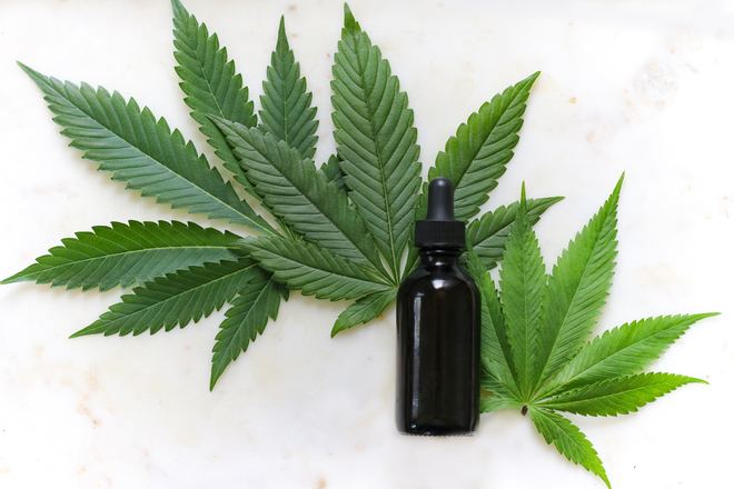 Canabis Legalisierung