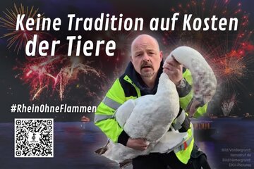 Obrázek petice Das Großfeuerwerk in der Bonner Rheinaue muss ein Ende haben!