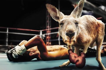 Immagine della petizione Find a home for St Teresa's Boxing club
