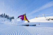 Bild zur Petition mit dem Thema: For the opening of the european ski resorts and the economic rescue of the alpine regions. (Verkleinerte Ansicht)