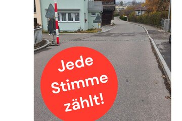 Image de la pétition Fussgängerstreifen oder andere Sicherheitsmassnahmen für Eichholzstrasse in Wetzikon