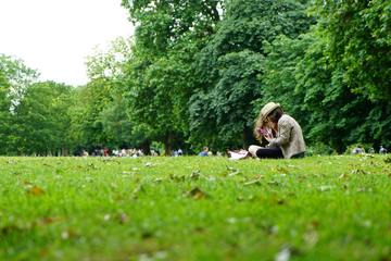 Bild der Petition Gegen die Zupflasterung des Kufsteiner Stadtparks!