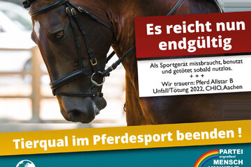 Obraz petycji Hitzebelastung beim CHIO Aachen – Sofortige Prüfung gemäß § 3 Nr. 1 TierSchG gefordert!
