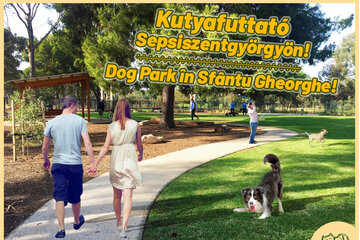 Slika peticije Kutyafuttató Létrehozása Sepsiszentgyörgyön - Dog Park în Sfântu Gheorghe