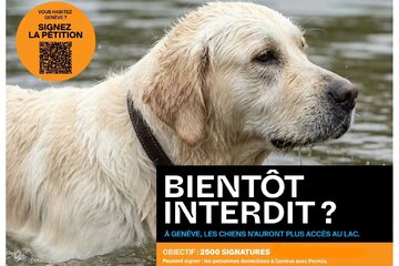 Petitsiooni pilt Le lac pour toutes et tous : cohabitation responsable incluant les chiens à Genève