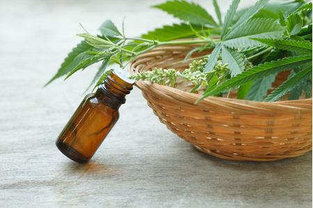 Bild der Petition Liberalisierung von Cannabis in der Medizin!