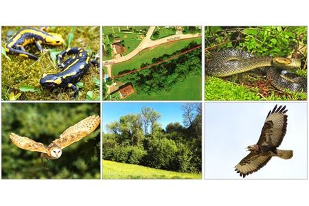 Image of the petition Lust auf Natur in St. Georgen / Gusen