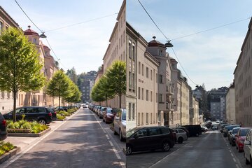 Obrázek petice Mehr Begrünung für die Flotowgasse und angrenzende Wohnstraßen in Döbling