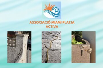 Immagine della petizione ¡No A Las Orugas Procesionarias En Miami Platja! Exigimos Soluciones Ya