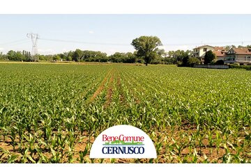 Bild der Petition P.A. Cevedale - Bassano: salviamo l'ultimo terreno agricolo dal cemento