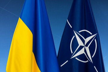 Bilde av begjæringen Folk over hele verden ber NATO om å stenge luftrommet over Ukraina