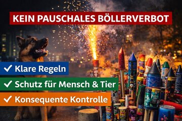 Afbeelding van de petitie Regeln statt Böllerverbot – für ein sicheres und verantwortungsvolles Silvester