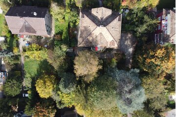 Image de la pétition Rettet Die Bäume Der Bucheggstrasse 35