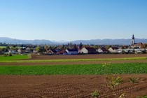Bild zur Petition mit dem Thema: Retten wir gemeinsam Oberlaa, unser Naherholungsgebiet im Süden Wiens! (Verkleinerte Ansicht)