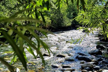 Obrázek petice Rettet den Auwald in Schruns/Tschagguns
