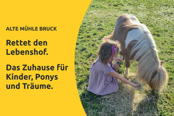 Obraz petycji Rettet den Lebenshof Alte Mühle Bruck – bevor ein Zuhause für immer verloren geht!