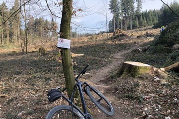 Immagine della petizione Schützt die Wälder im Kanton Zürich