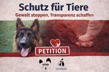 Bild der Petition Schutz für Tiere – Gewalt stoppen, Transparenz schaffen