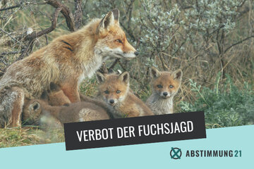 Parlamendihoone "Soll die Fuchsjagd in Deutschland verboten werden?" pilt.