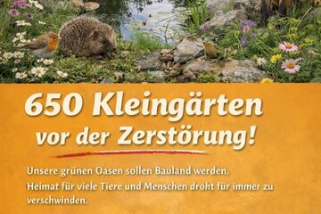 Immagine della petizione Stoppt das KEK26+ – Rettet Hannovers Kleingärten!