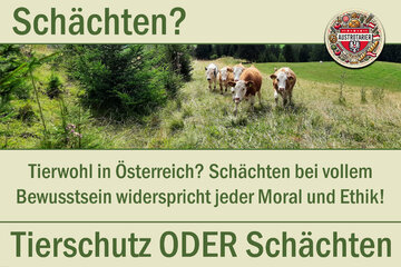 Bild der Petition Tierschutz statt Schächten!