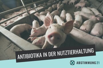 Parlamendihoone "Stimmen Sie für die Maßnahmen zur Reduzierung des Einsatzes von Antibiotika in der industriellen Tierhaltung?" pilt.