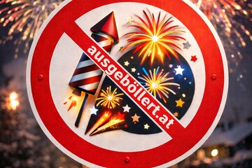 Immagine della petizione Verbot: Verkauf von Feuerwerkskörpern an Privatpersonen