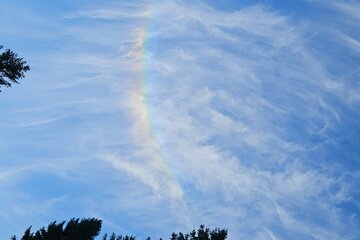 Obraz petycji Verbot von Clima-cooling Geoengineering und Solar Radiation Management über Österreich (zukünftig)