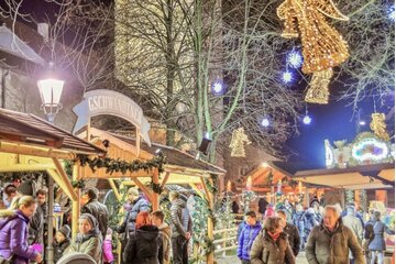 Obraz petycji Wir wollen den Weihnachtsmarkt im Welser Pollheimerpark zurück