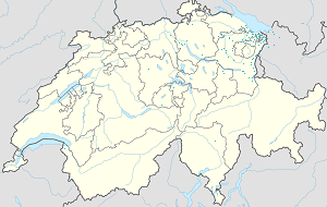 Kort over Kanton Sankt Gallen med tags til hver supporter 