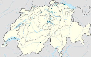 Kart over Basel med markører for hver supporter