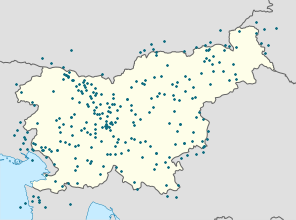 Map of Slovenia with markings for the individual supporters