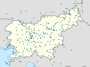 Karta över Radovljica med taggar för varje stödjare